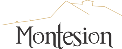 Montesion